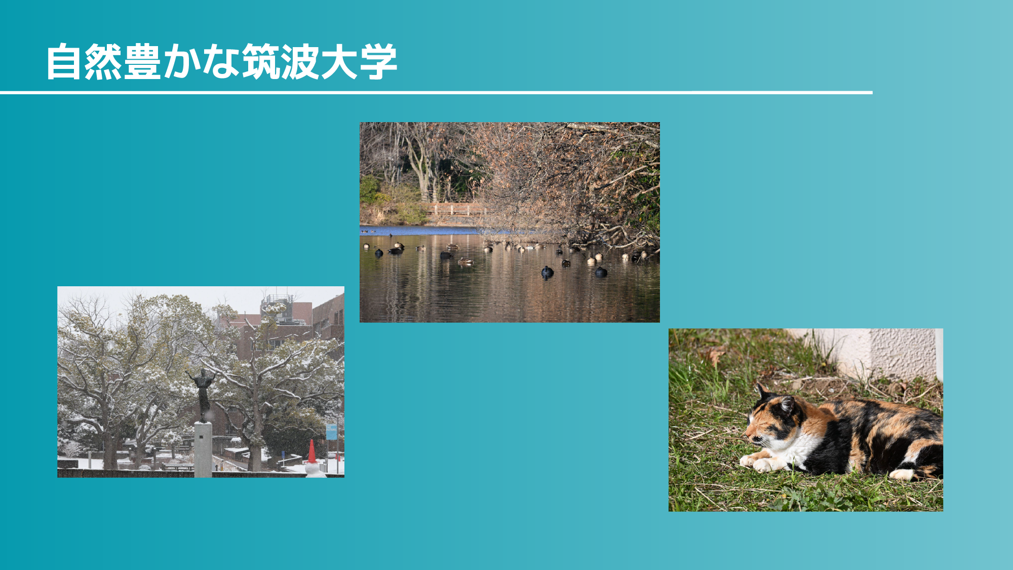 つくばNOCのイメージ画像 1